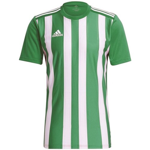 Clothing Men Short-sleeved t-shirts adidas Originals Striped 21 White, Green