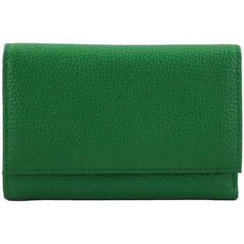 Bags Women Wallets Barberini's D108938 Green