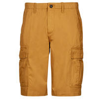 Clothing Men Shorts / Bermudas Timberland OUTDOOR HERITAGE RELAXED CARGO Beige