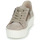 Shoes Women Low top trainers Gabor 8320012 Taupe