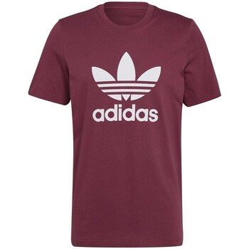Clothing Men Short-sleeved t-shirts adidas Originals Trefoil Tshirt Cherry 