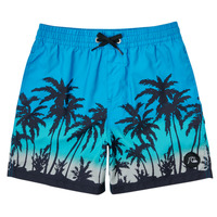 Clothing Boy Trunks / Swim shorts Quiksilver EVERYDAY PARADISE Multicolour