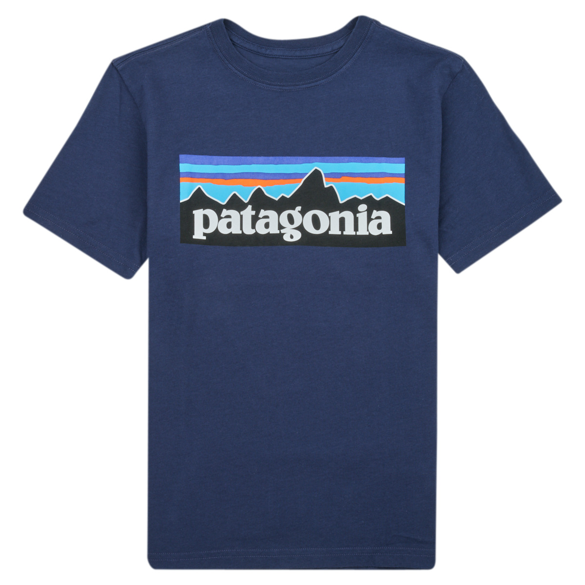 patagonia  boys logo t-shirt  boys's children's t shirt in blue