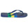 Shoes Flip flops Havaianas BRASIL TECH Blue / Yellow / Green