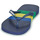 Shoes Flip flops Havaianas BRASIL TECH Blue / Yellow / Green