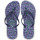 Shoes Women Flip flops Havaianas FANTASIA ROMANTICA Black / Purple