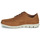 Shoes Men Low top trainers Timberland BRADSTREET Brown
