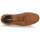 Shoes Men Low top trainers Timberland BRADSTREET Brown