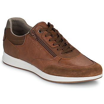 Shoes Men Low top trainers Geox U AVERY Brown