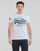 Clothing Men Short-sleeved t-shirts Superdry VL TEE Optic