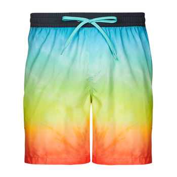 Clothing Men Trunks / Swim shorts Quiksilver EVERYDAY FADED LOGO VOLLEY 17 Multicolour
