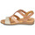 Shoes Women Sandals Pikolinos IBIZA W5N Beige / White