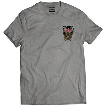 Clothing Men Short-sleeved t-shirts Capita Pathfinder Tee 2020 Grey