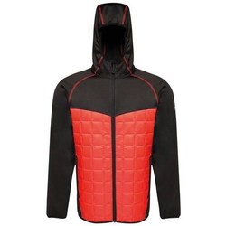 Clothing Men Jackets Regatta Modular Thermal Red, Black