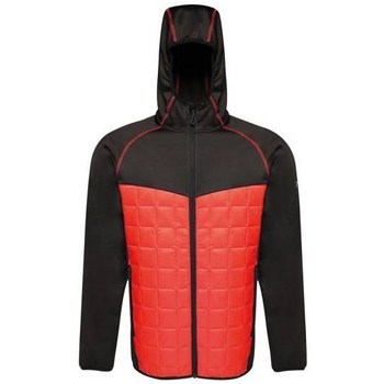 Clothing Men Jackets Regatta Modular Thermal Black, Red