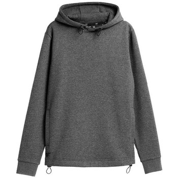 Clothing Men Sweaters 4F BLM013 Grey