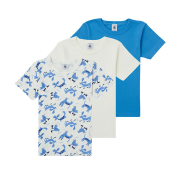 Clothing Boy Short-sleeved t-shirts Petit Bateau  Multicolour