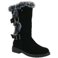 Shoes Women Snow boots Hush puppies Megan Womens Calf Boots black