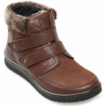 Shoes Women Boots Padders Havana Womens Ankle Boots brown