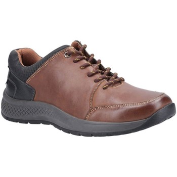 Shoes Men Trainers Cotswold Rollright Mens Lace Up Shoes brown