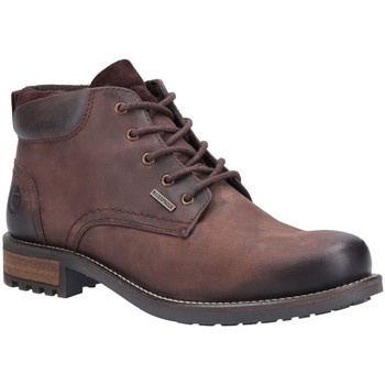 Shoes Men Mid boots Cotswold Woodmancote Mens Boots brown