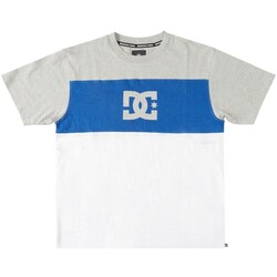 Clothing Men Short-sleeved t-shirts DC Shoes Glen End Blue, Grey, White
