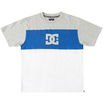Clothing Men Short-sleeved t-shirts DC Shoes Glen End Grey, Blue, White