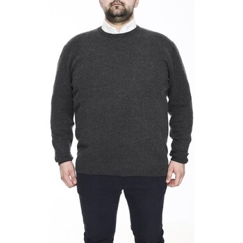 Clothing Men Jumpers Camel Active 3132441234 Grey