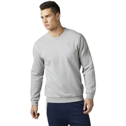 Clothing Men Sweaters Reebok Sport F Franchise FT Crew Grey