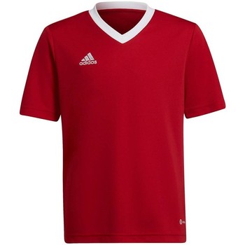 Clothing Boy Short-sleeved t-shirts adidas Originals Entrada 22 Jsy Red
