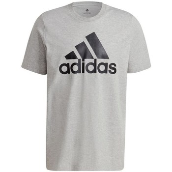 Clothing Men Short-sleeved t-shirts adidas Originals Essentials Big Logo Grey
