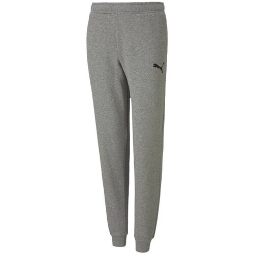 Clothing Girl Trousers Puma Teamgoal 23 Casuals Pants JR Grey