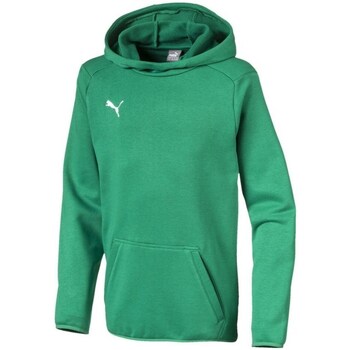 Clothing Boy Sweaters Puma Liga Casuals Hoody JR Green
