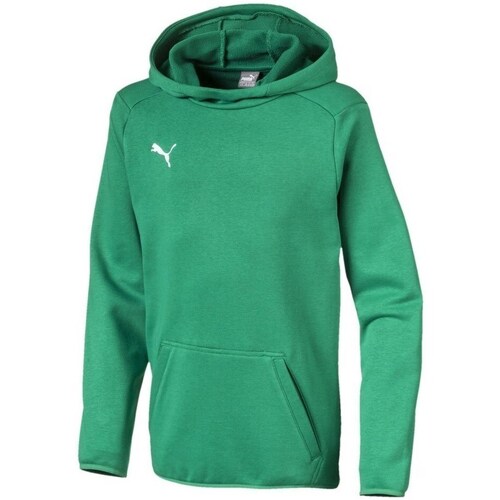 Clothing Boy Sweaters Puma Liga Casuals Hoody JR Green