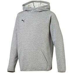 Clothing Boy Sweaters Puma Liga Casuals Hoody JR Grey