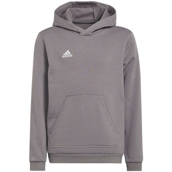 Clothing Boy Sweaters adidas Originals Entrada 22 Hoody Grey