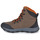 Shoes Men Walking shoes Columbia EXPEDITIONIST BOOT Taupe