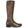 Shoes Women High boots Caprice 25501 Taupe