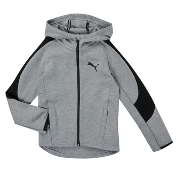 Clothing Boy Sweaters Puma EVOSTRIPE CORE FZ HOODIE Grey