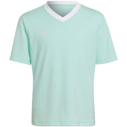 Clothing Boy Short-sleeved t-shirts adidas Originals Entrada 22 Turquoise