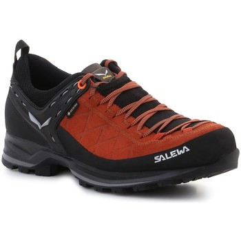 Shoes Men Walking shoes Salewa MS Mtn Trainer 2 Gtx Black, Brown