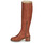 Shoes Women High boots Neosens RUBY Brown