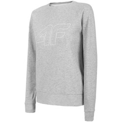 Clothing Women Sweaters 4F BLD350 Grey
