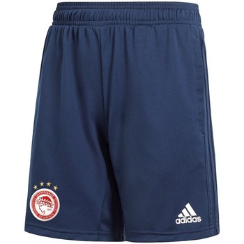 Clothing Boy Cropped trousers adidas Originals Adizero FC Olympiakos WF Navy blue