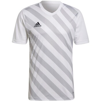 Clothing Men Short-sleeved t-shirts adidas Originals Entrada 22 White, Grey