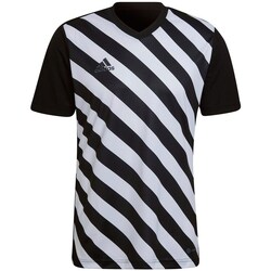 Clothing Men Short-sleeved t-shirts adidas Originals Entrada 22 White, Black