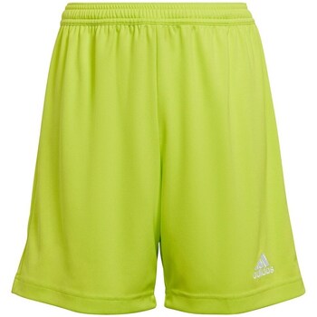 Adidas  Entrada 22  Boys's Children's Cropped Trousers In Green