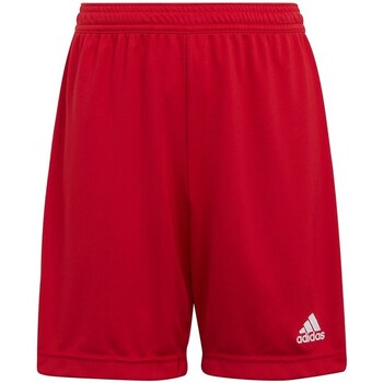 Clothing Boy Cropped trousers adidas Originals Entrada 22 Red
