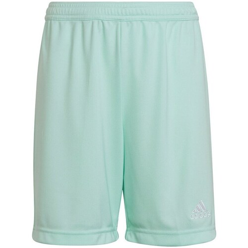 Clothing Boy Cropped trousers adidas Originals Entrada 22 Turquoise