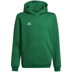 Clothing Boy Sweaters adidas Originals Entrada 22 Green